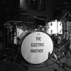 The Electric Panther