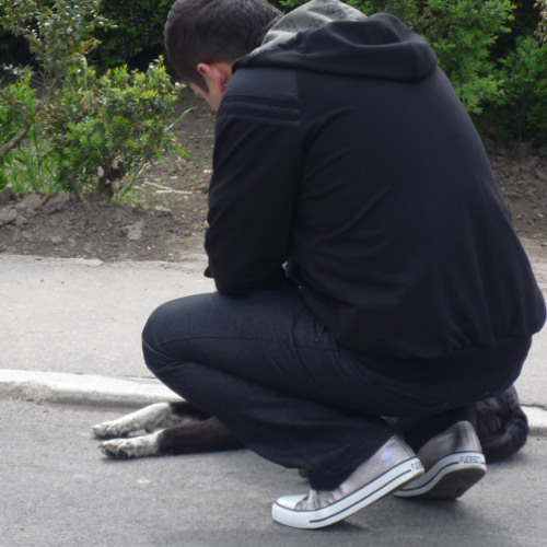 Stream Dj Omu Negru Music Listen To Songs Albums Playlists For Free