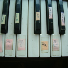 NETSURFER (OLLI KRUSE)