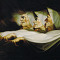 svoboda