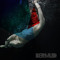 bermudmusic