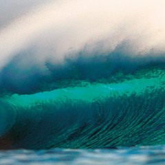 Brandon Rosenthal - Music