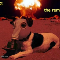 dogswithgasmasks