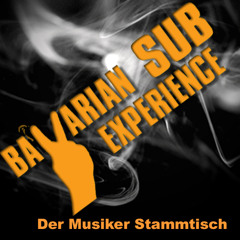 bavariansubexperience