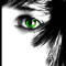 eyer