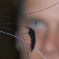 robbevan