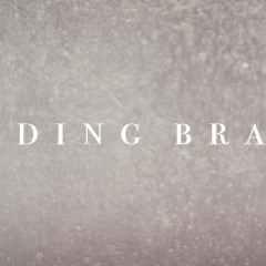 puddingbrains