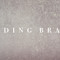 puddingbrains