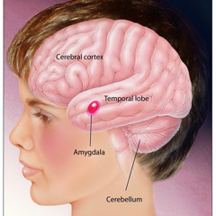 A Silhouette of Doom - Ennio Morricone (Dubstep Remix)