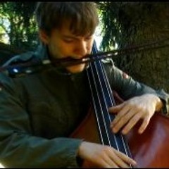 ZebProj - "Neurophil"