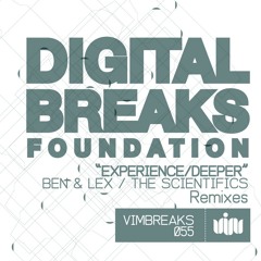 Digital Breaks Foundation