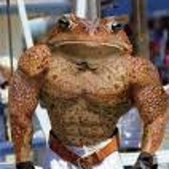 Battletoad