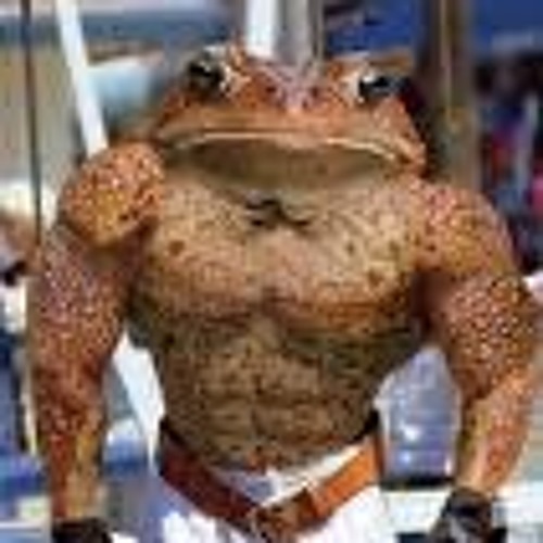 battletoad