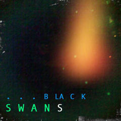 Cry For Us Black Swans