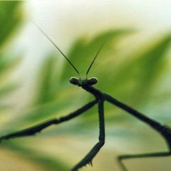 a small town incident