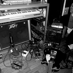 "I love the manatees" spring DEMOS 2010