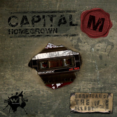 Capital M