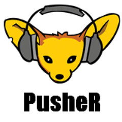 Dj PusheR23