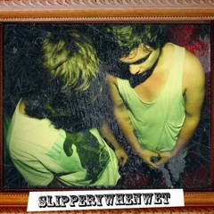 SLIPPERYWHENWET DJS