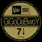 GiGo