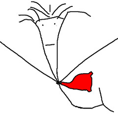 Loekino