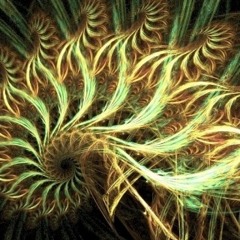 mellowmarsh