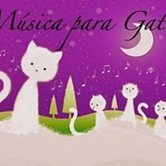 Música para Gatos