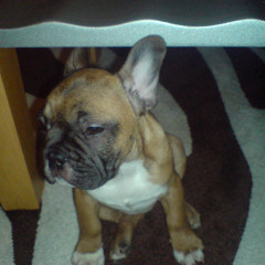 Dj Murat Aydın Side Trip 2010