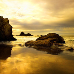 The Fresh Connection