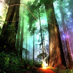 Mark Day - Cosmic Illusion [Morning Psychedelic]
