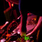 DJ Curiosity