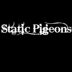 Static Pigeons