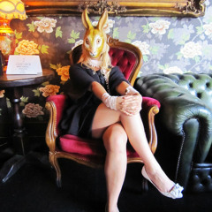 Sylwia van der Wonderland