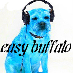 Easy Buffalo