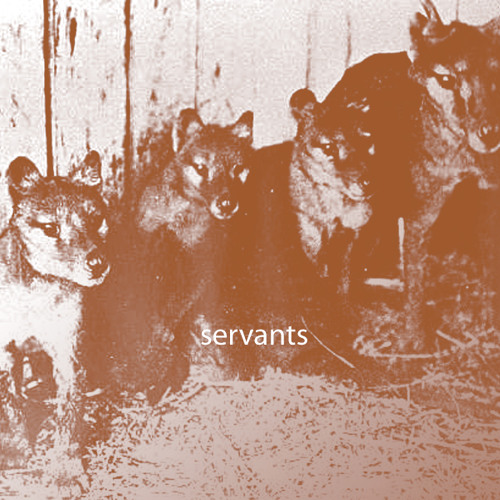 SoundCloud profile picture for @servants