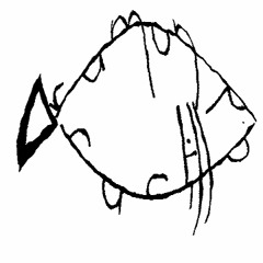 Brain