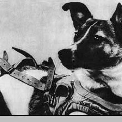 LAYKA - THE MOON IS AWAY (ORIGINAL MIX)