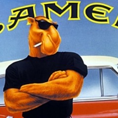camelmedium