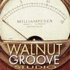 Walnut Groove Studio
