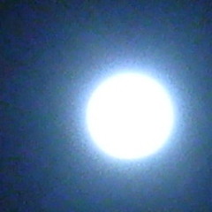 Intricate at the lab