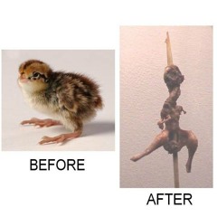 Raaptor