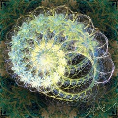 Diviner