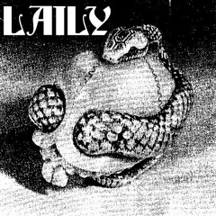 Laily