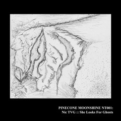 Complete TVG Discography