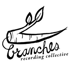 branchesrecordingco