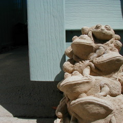 Spring And By Summer Fall 800%