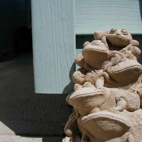 Spring And By Summer Fall 800%