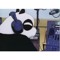 Raving Panda