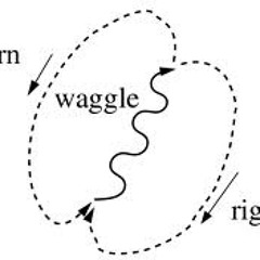 mr. Waggle