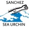 Sanchez Sea Urchin